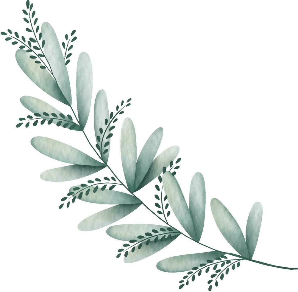 Greenery Leaves Watercolor Hand Drawn. vector