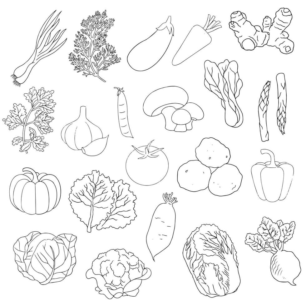 vegetable food line icon vector set