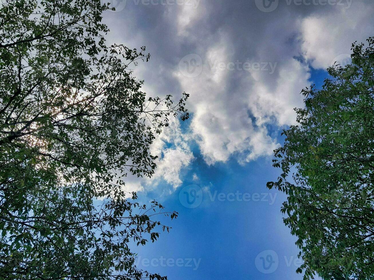 Blue cloudy sky photo