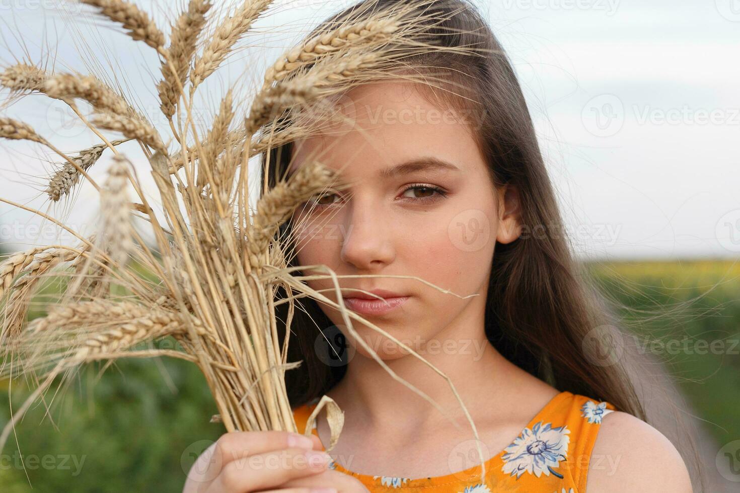 Closeup of beautiful woman in dress is keeping wheat crop photo