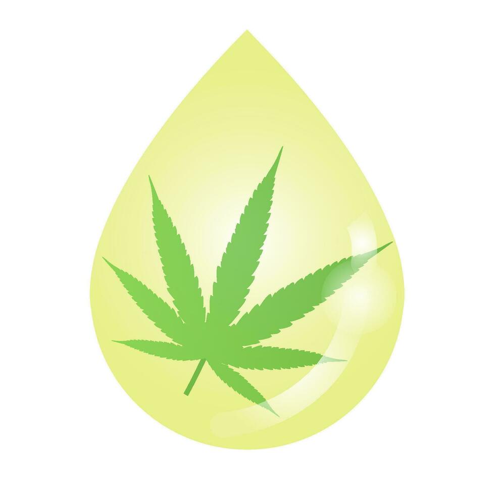 Medical cannabis oil extract vector isolated on white background. Drop of Cannabinoid, Cannabidiol, CBD, Tetrahydrocannabinol, THC with hemp, ganja, marijuana, hash and marihuana leaf.