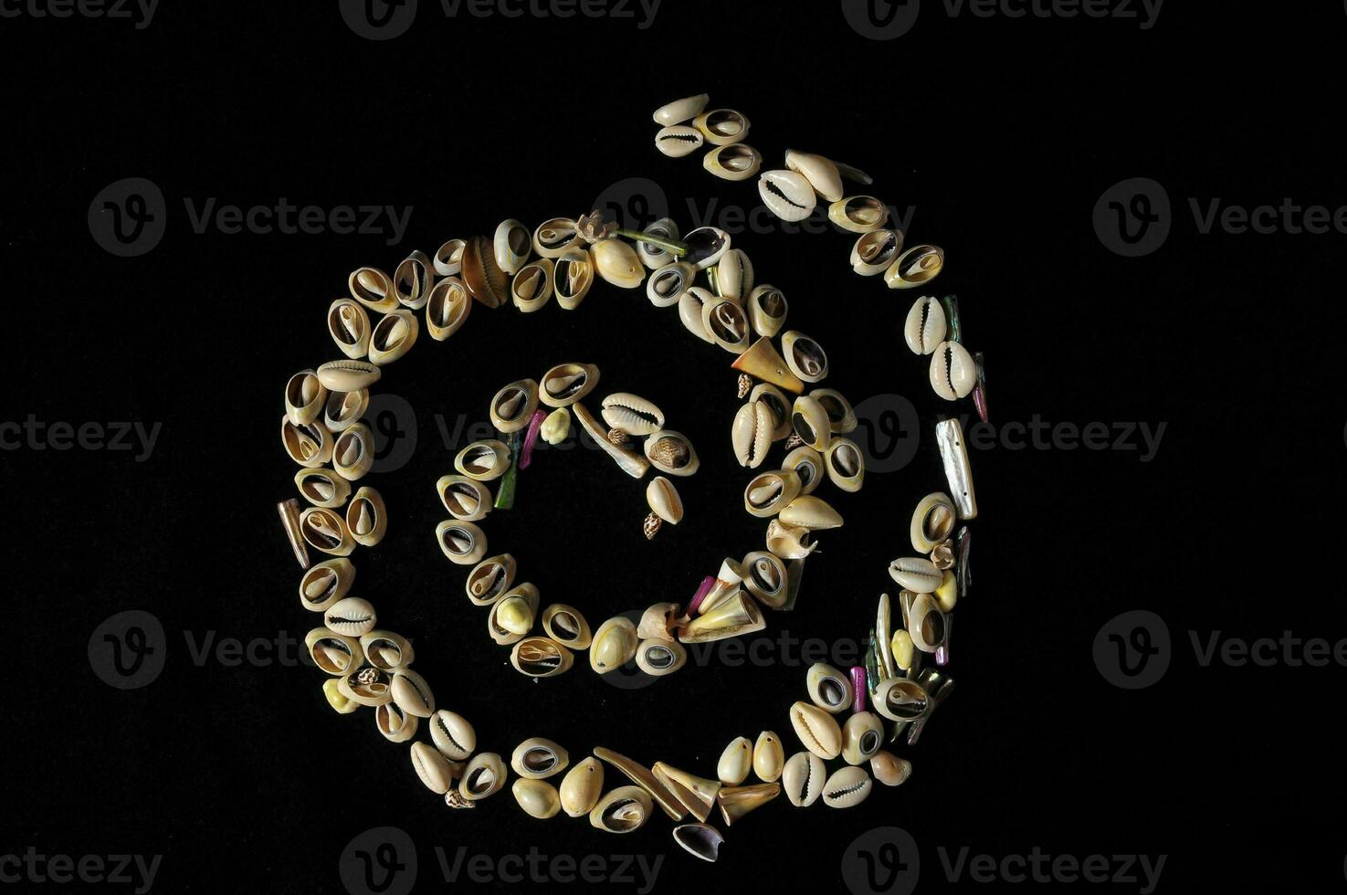 Shells in a spiral photo