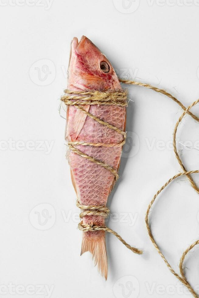 Salt-dried surmullet tied with rough string lying on white background photo