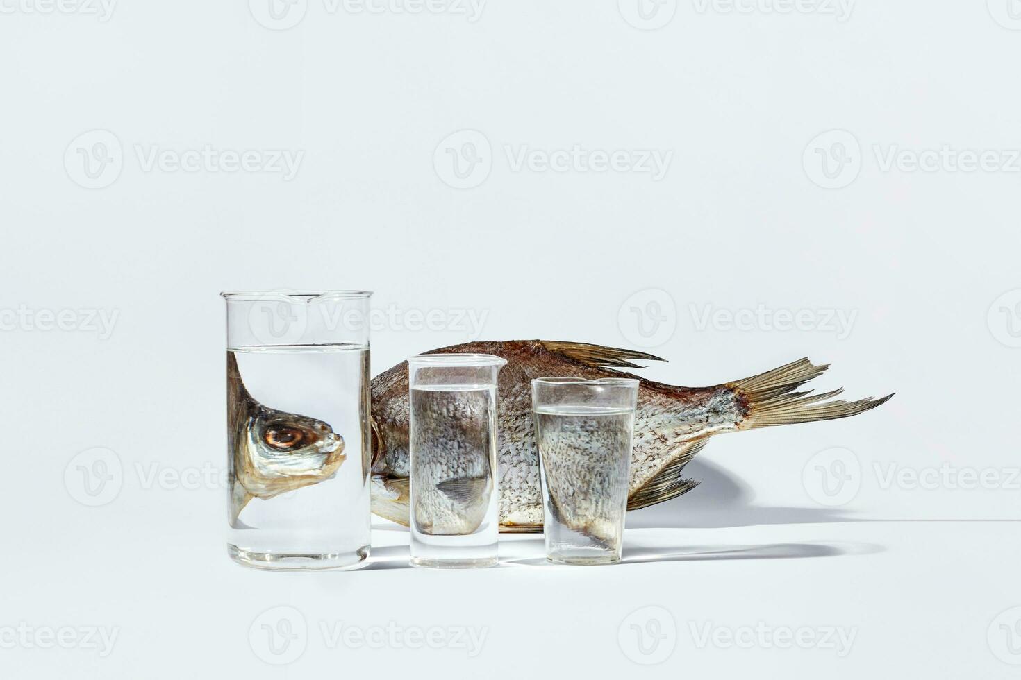 Dried fish distortedly reflecting in glasses with transparent liquid on white background photo