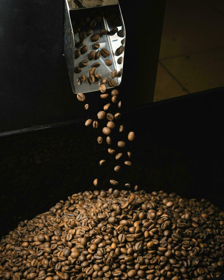 Coffee beans fall at high speed from the roasting machine onto a pile of roasted beans. Freezing high shutter speed photo of coffee beans poured from a coffee bean processing machine