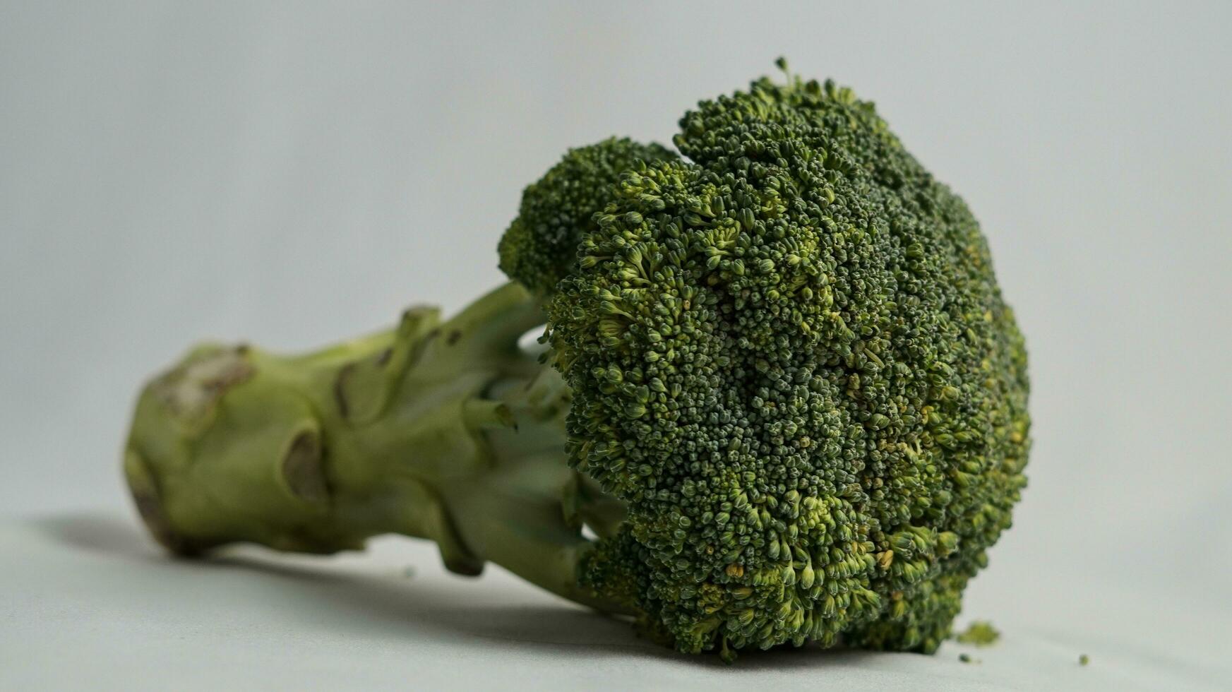 Green vegetables, broccoli with the stem still on, contain fiber and antioxidants which are healthy for the body photo