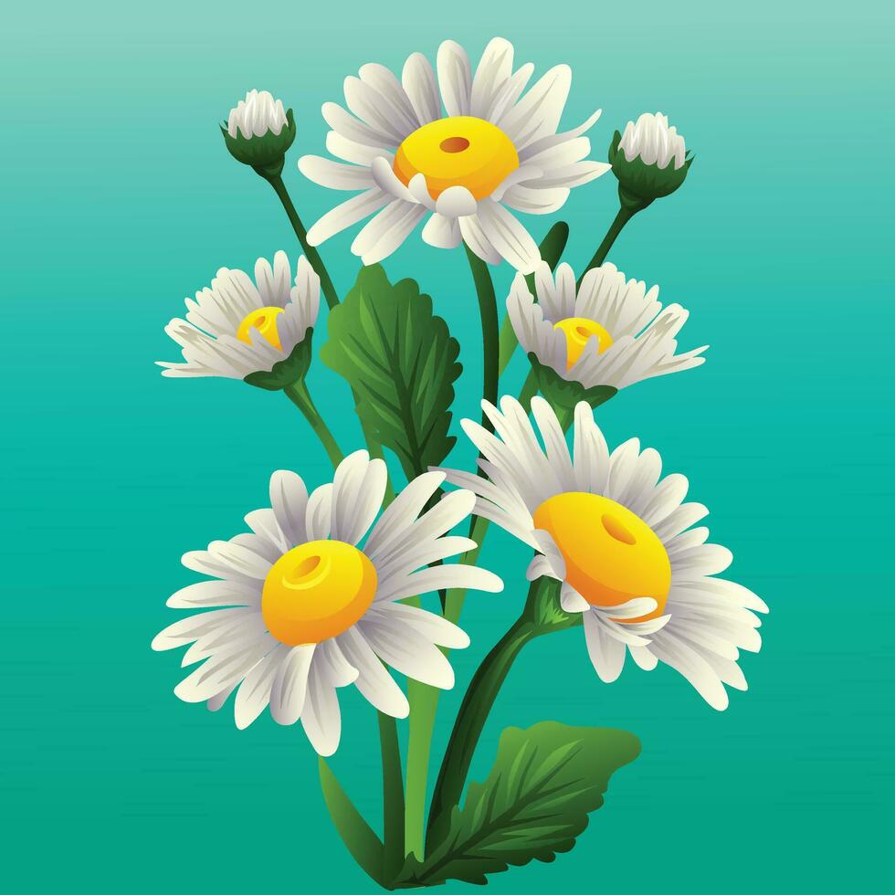 daisy flower bellis vector