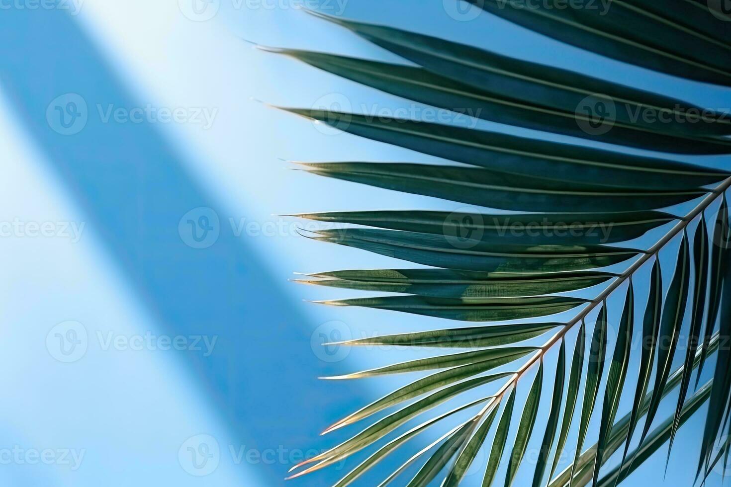 shadows and palm leaf on a light, sky blue, pastel wall. background for advertising a luxury product. photo