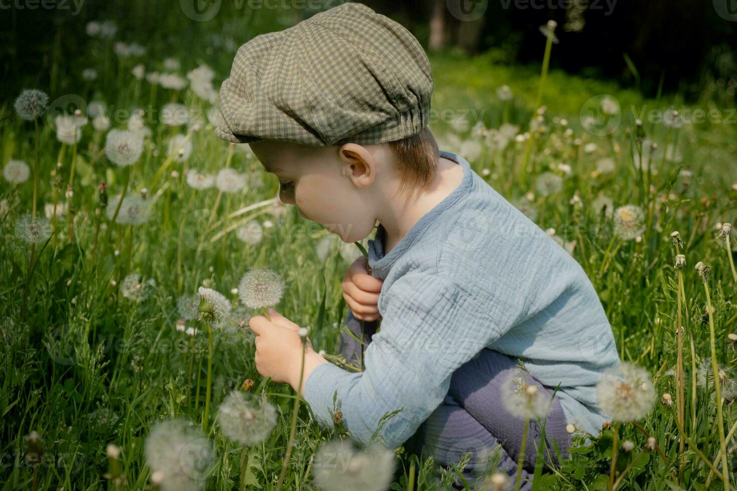 Cute little boy blowing dandelion in summer meadow. Kid enjoying summer. photo