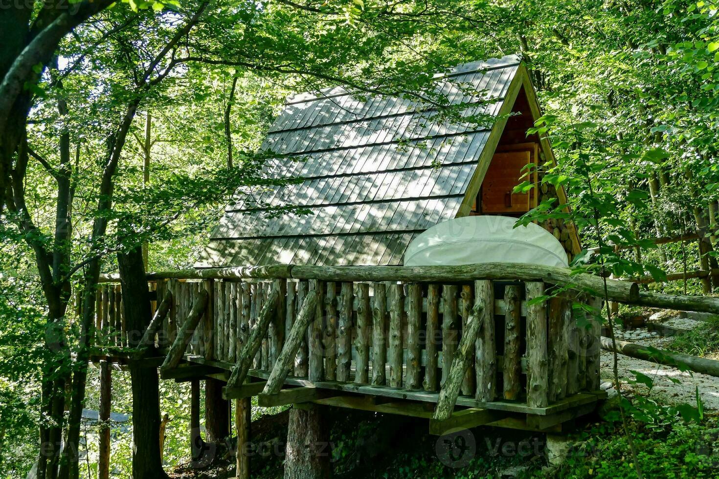 House in the forest -Slovenia 2022 photo