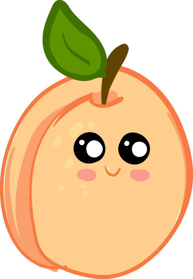 Cute apricot with a leaf illustration, vector or color illustration.