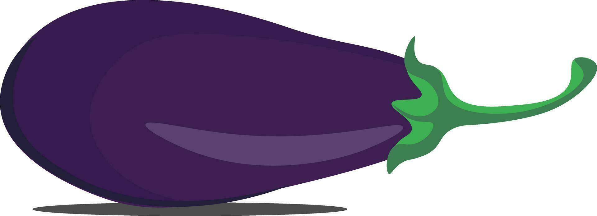 Eggplant, vector or color illustration.