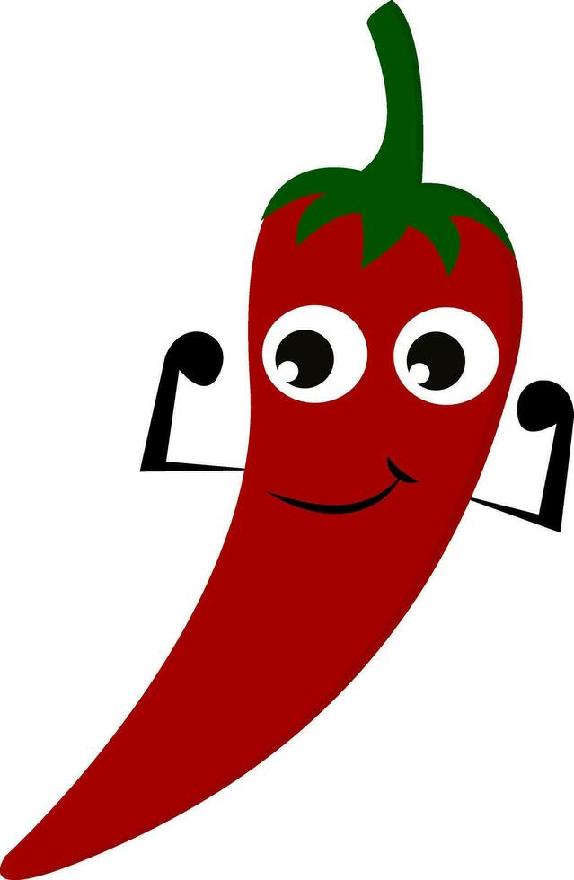 Chili, vector or color illustration.