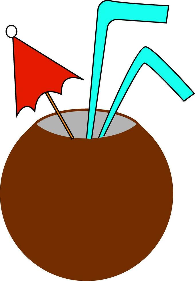 A coconut, vector or color illustration.