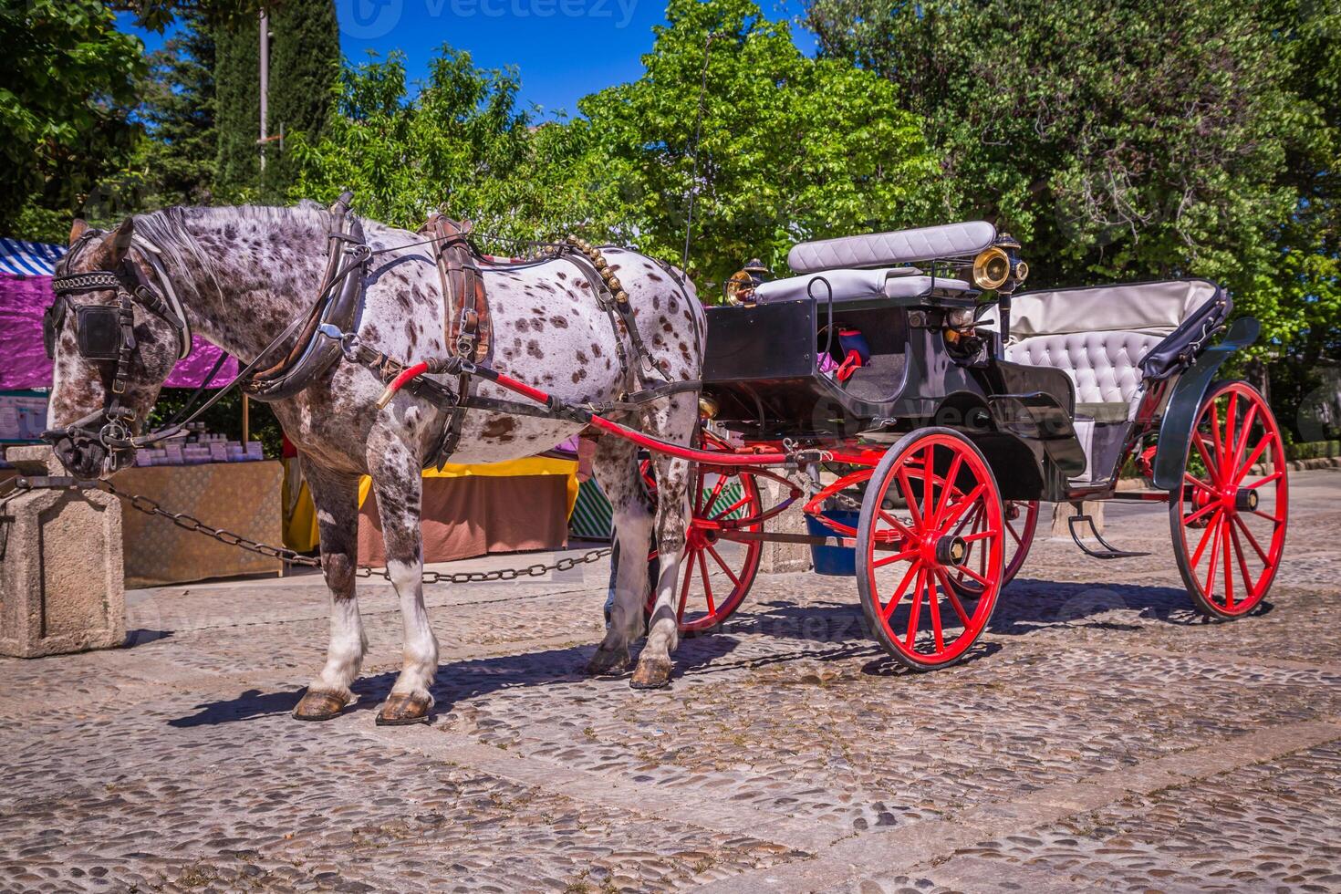 Typical horse-drawn carriage in Given Spain's Square, located in the Parque Maria Luisa,Seville, Andalucia, Spain photo