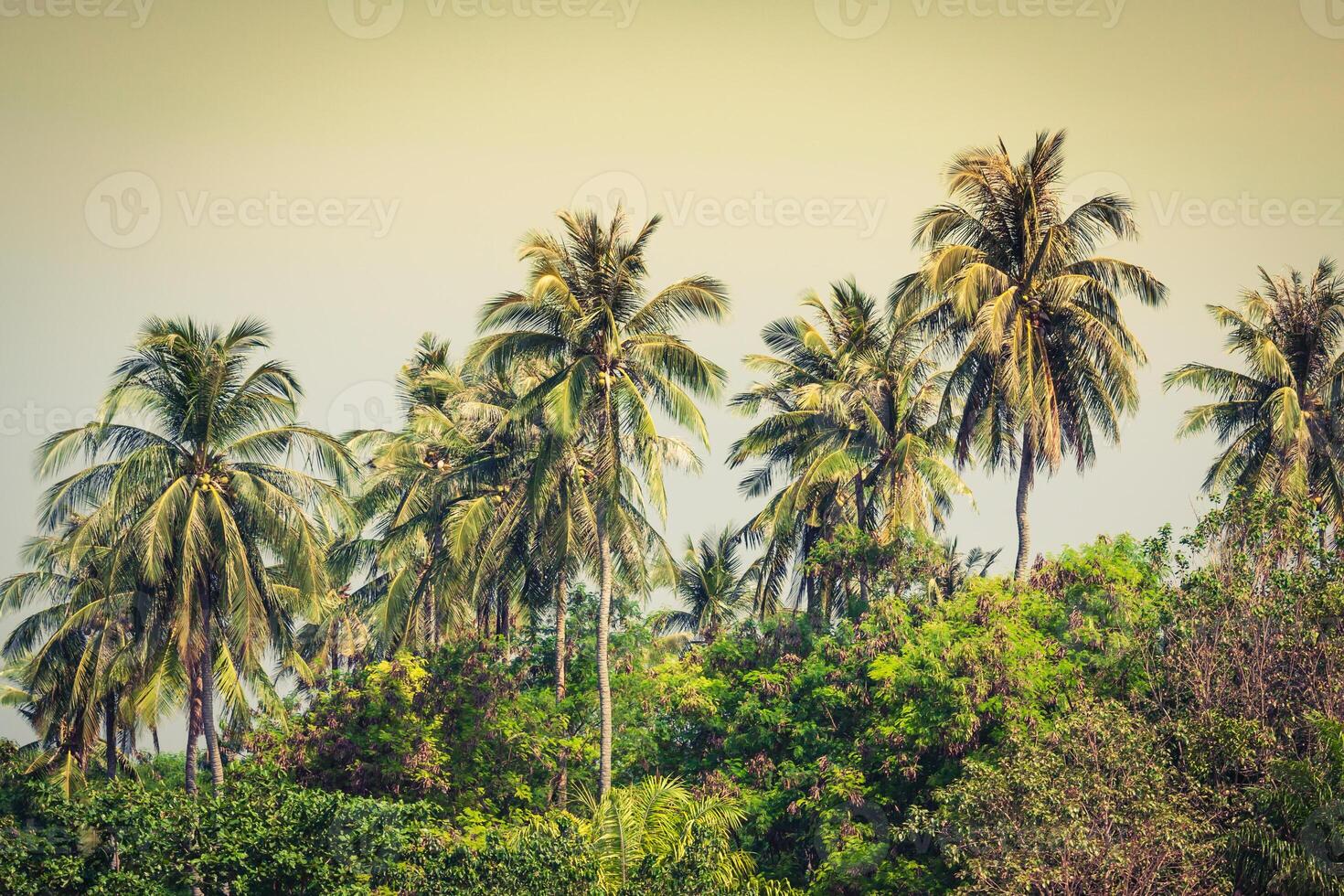 Travel vacation background - Tropical island with resorts - Phi-Phi island, Krabi Province, Thailand. photo