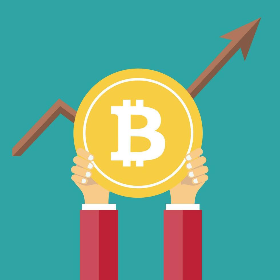 Bitcoin concept. On line funding and making investments for bitcoin. New technology icon. Flat vector illustration