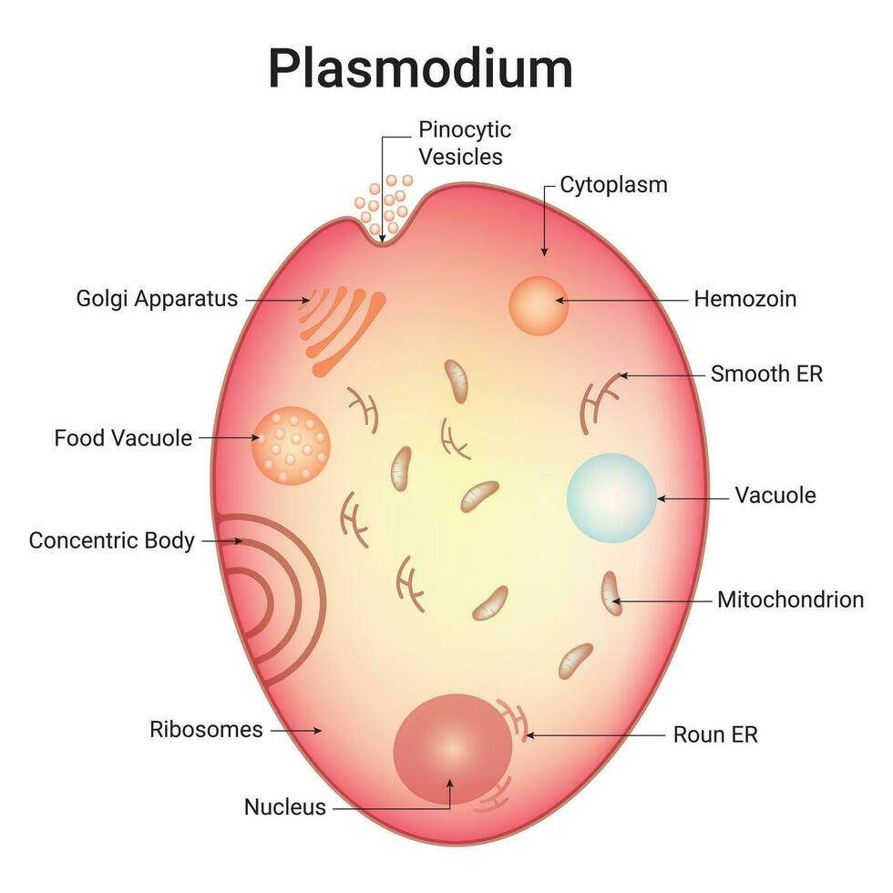 Plasmoium Science Design Vector Illustration
