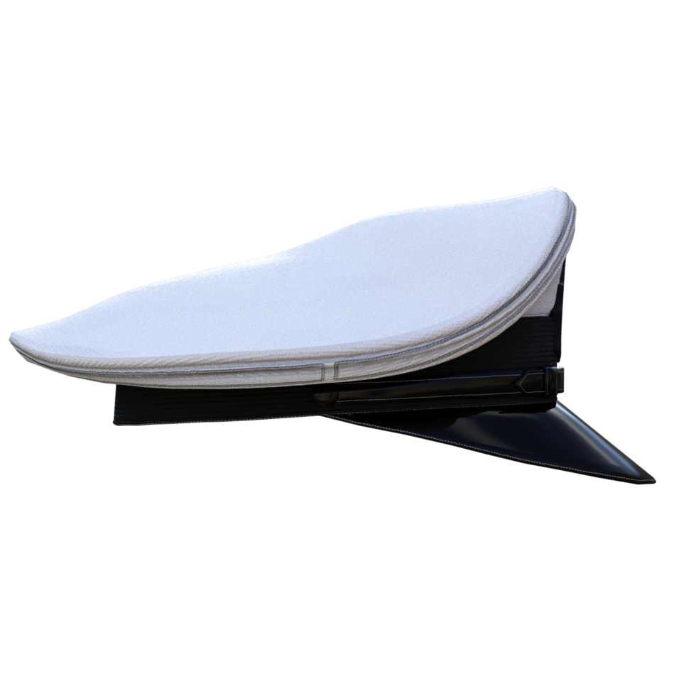 US Pilot Cap and Badge png
