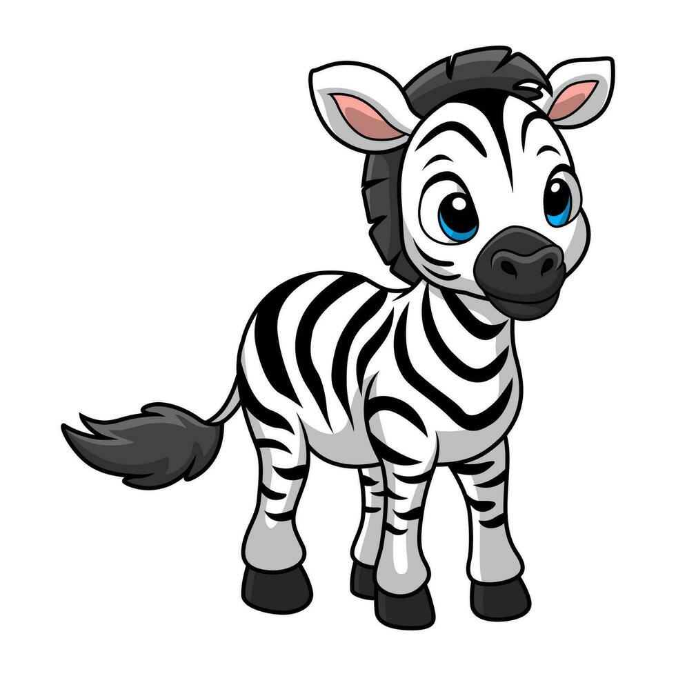 Cute zebra cartoon on white background vector