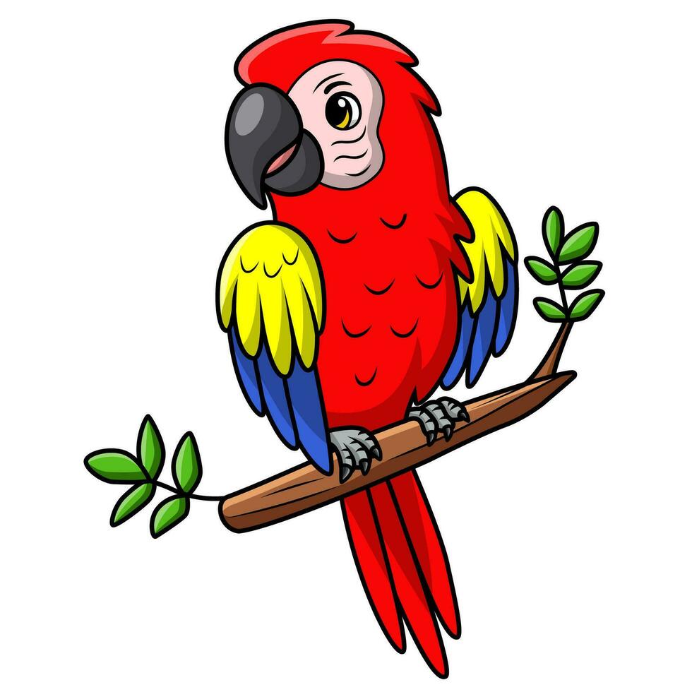 Cute macaw bird cartoon on white background vector