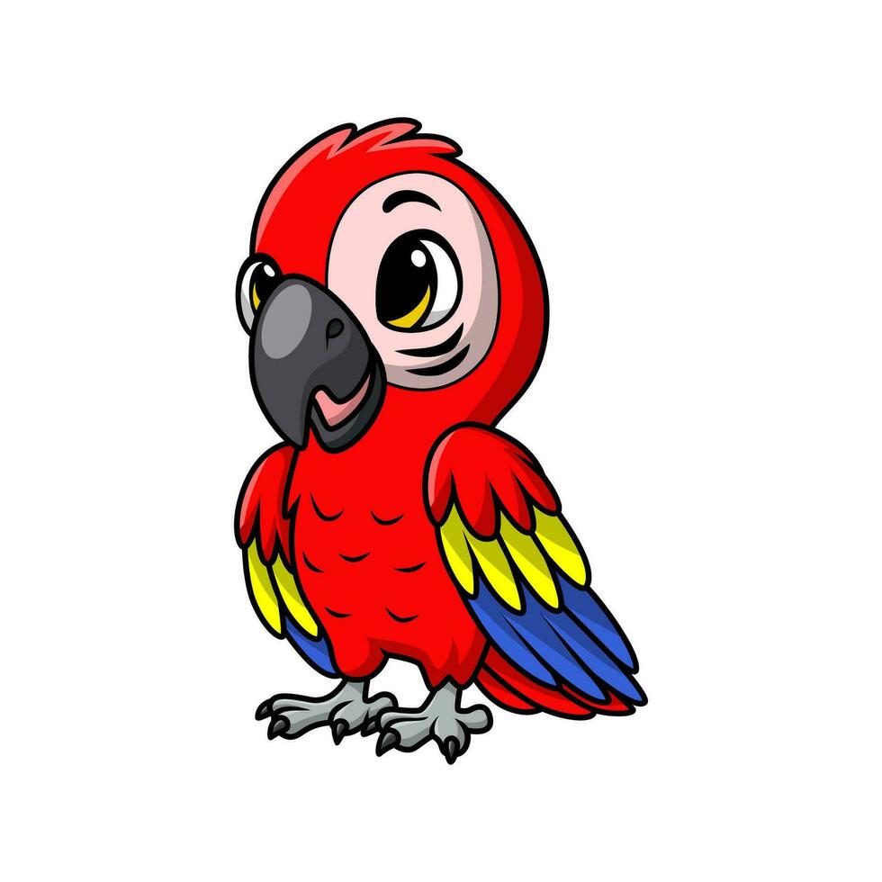 Cute macaw bird cartoon on white background vector