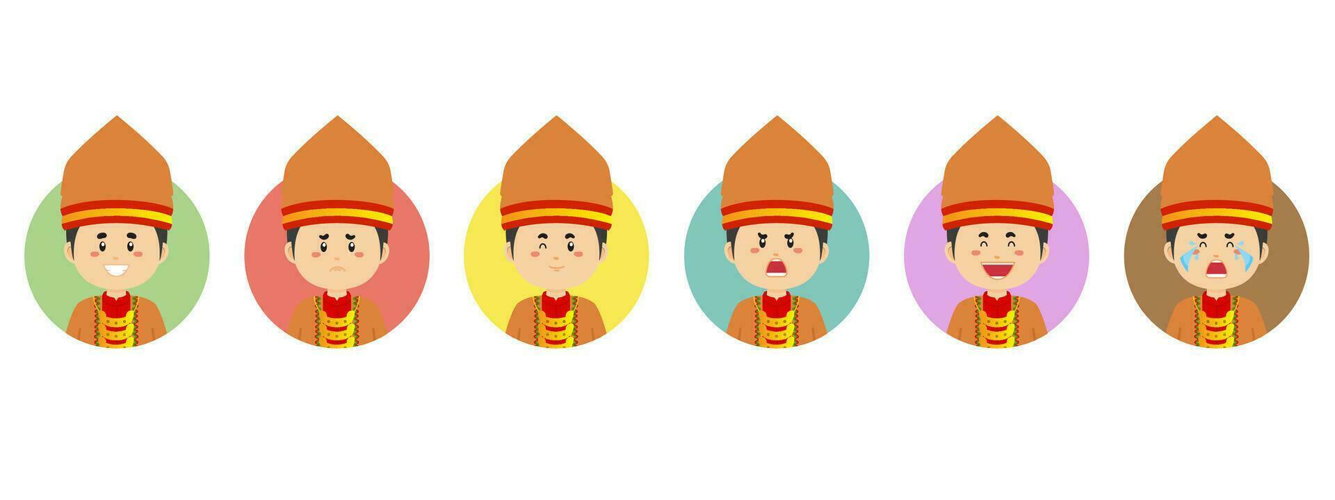 South Sumatra Avatar with Various Expression vector