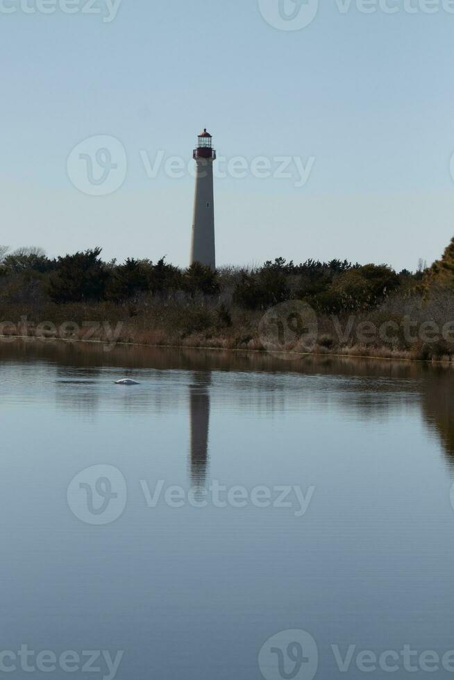 Cape May Point Lighthouse casting a beautiful reflection in the still pond. Brown foliage all around showing the Fall season. photo