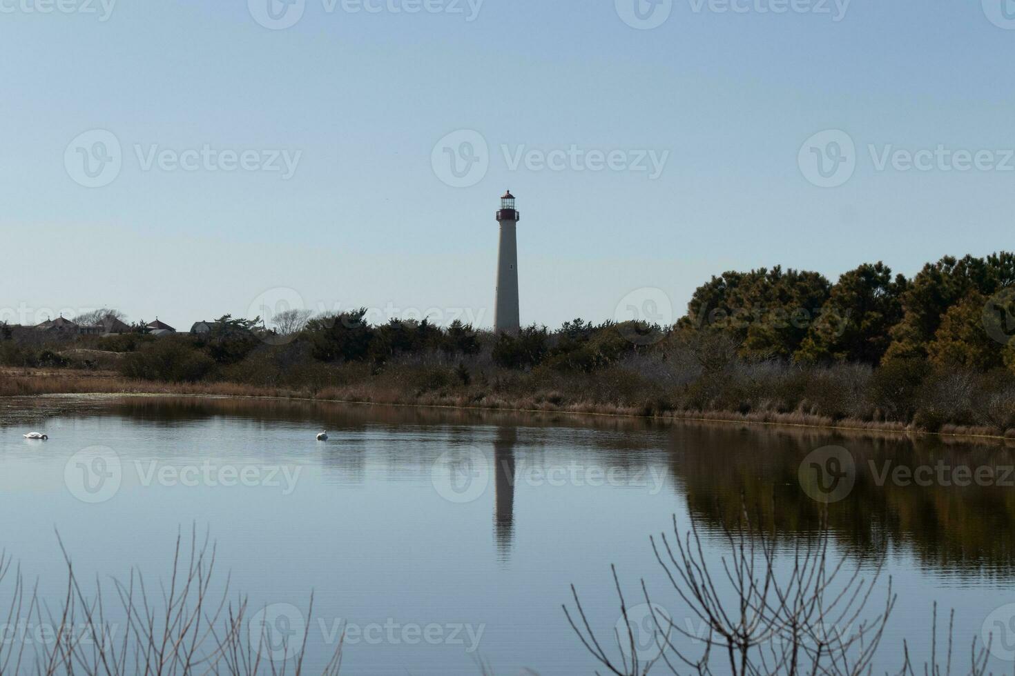 Cape May Point Lighthouse casting a beautiful reflection in the still pond. Brown foliage all around showing the Fall season. photo