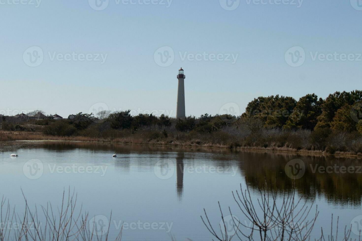 Cape May Point Lighthouse casting a beautiful reflection in the still pond. Brown foliage all around showing the Fall season. photo