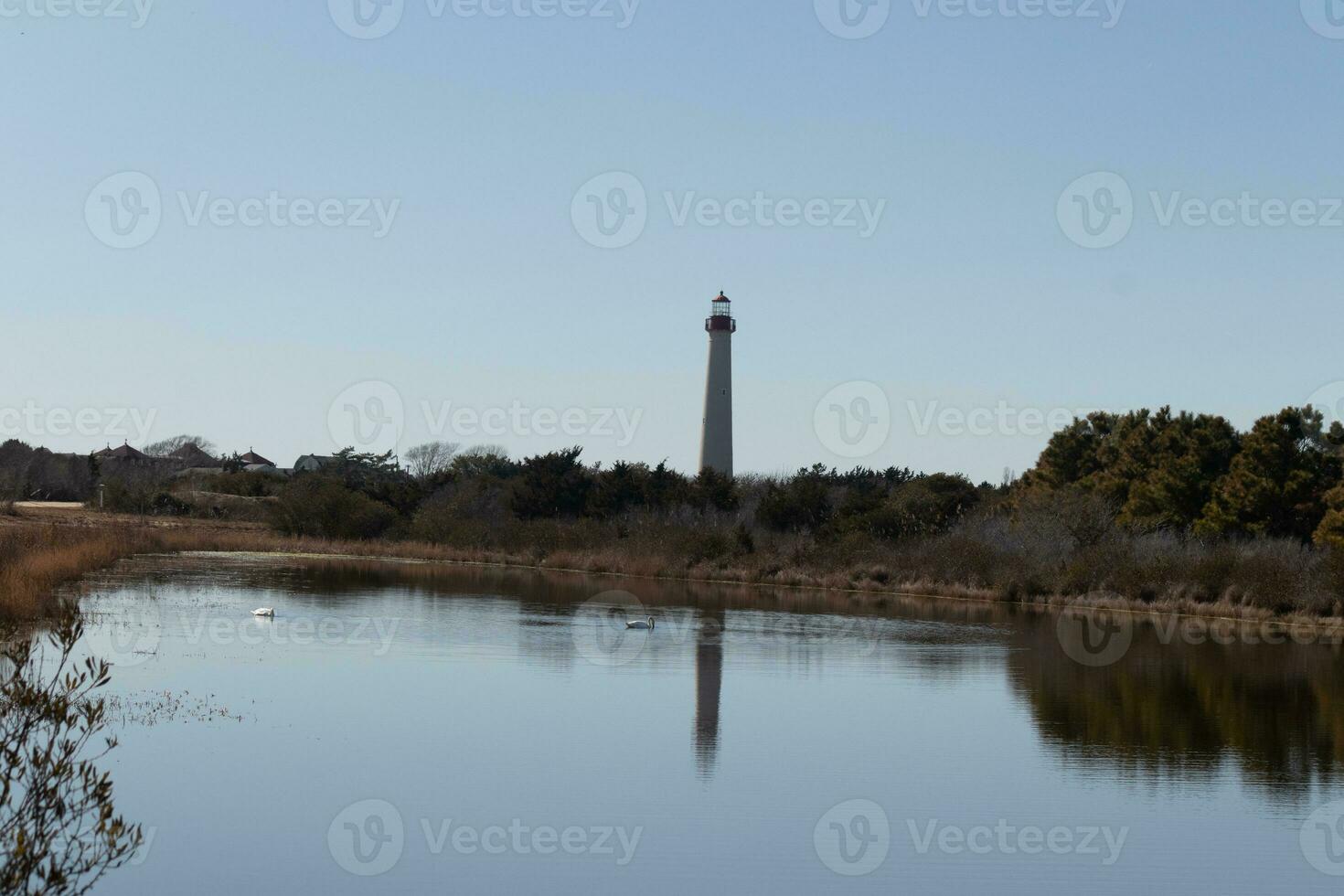 Cape May Point Lighthouse casting a beautiful reflection in the still pond. Brown foliage all around showing the Fall season. photo