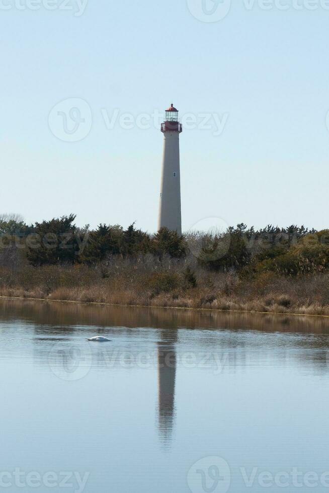 Cape May Point Lighthouse casting a beautiful reflection in the still pond. Brown foliage all around showing the Fall season. photo
