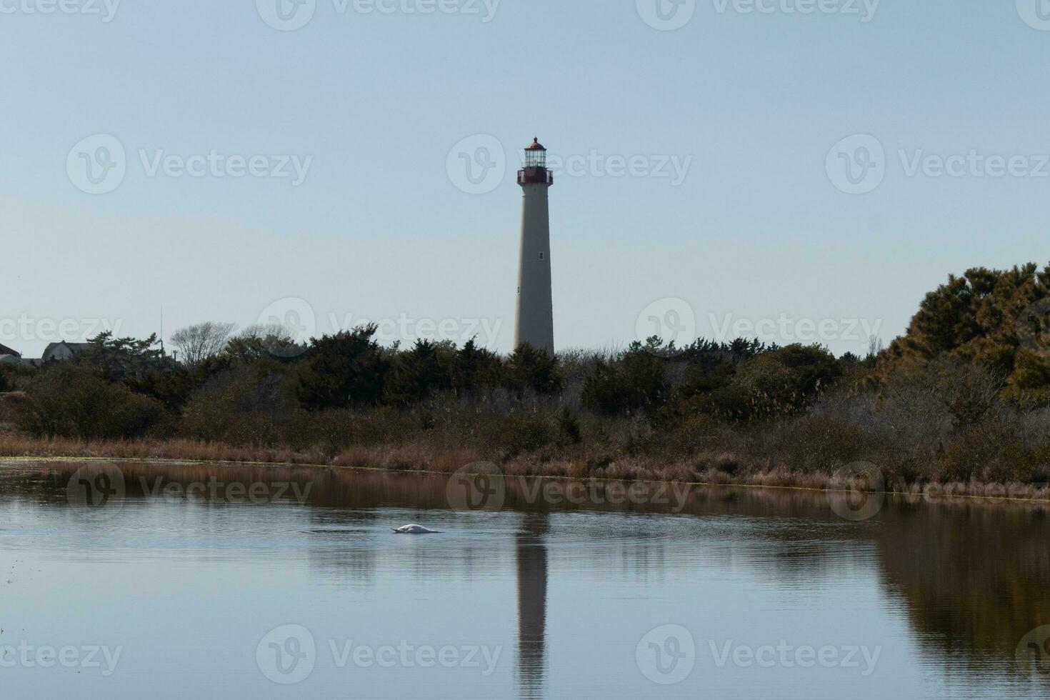 Cape May Point Lighthouse casting a beautiful reflection in the still pond. Brown foliage all around showing the Fall season. photo