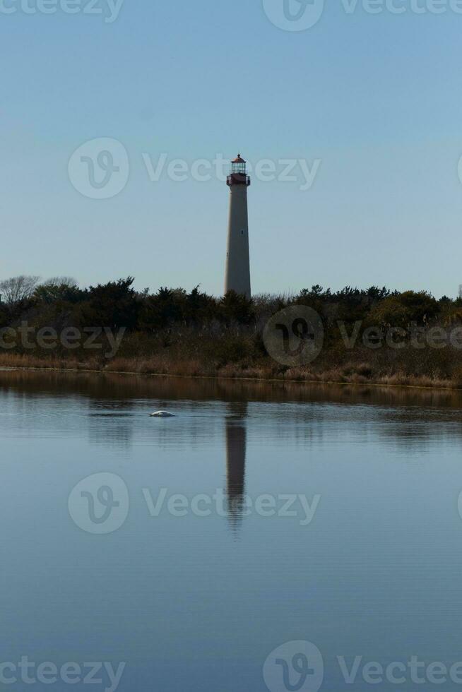 Cape May Point Lighthouse casting a beautiful reflection in the still pond. Brown foliage all around showing the Fall season. photo