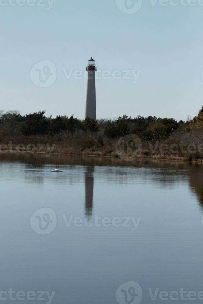 Cape May Point Lighthouse casting a beautiful reflection in the still pond. Brown foliage all around showing the Fall season. photo