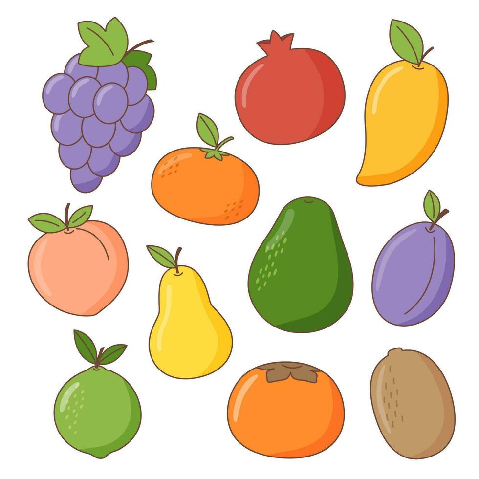 Set of fruit vector
