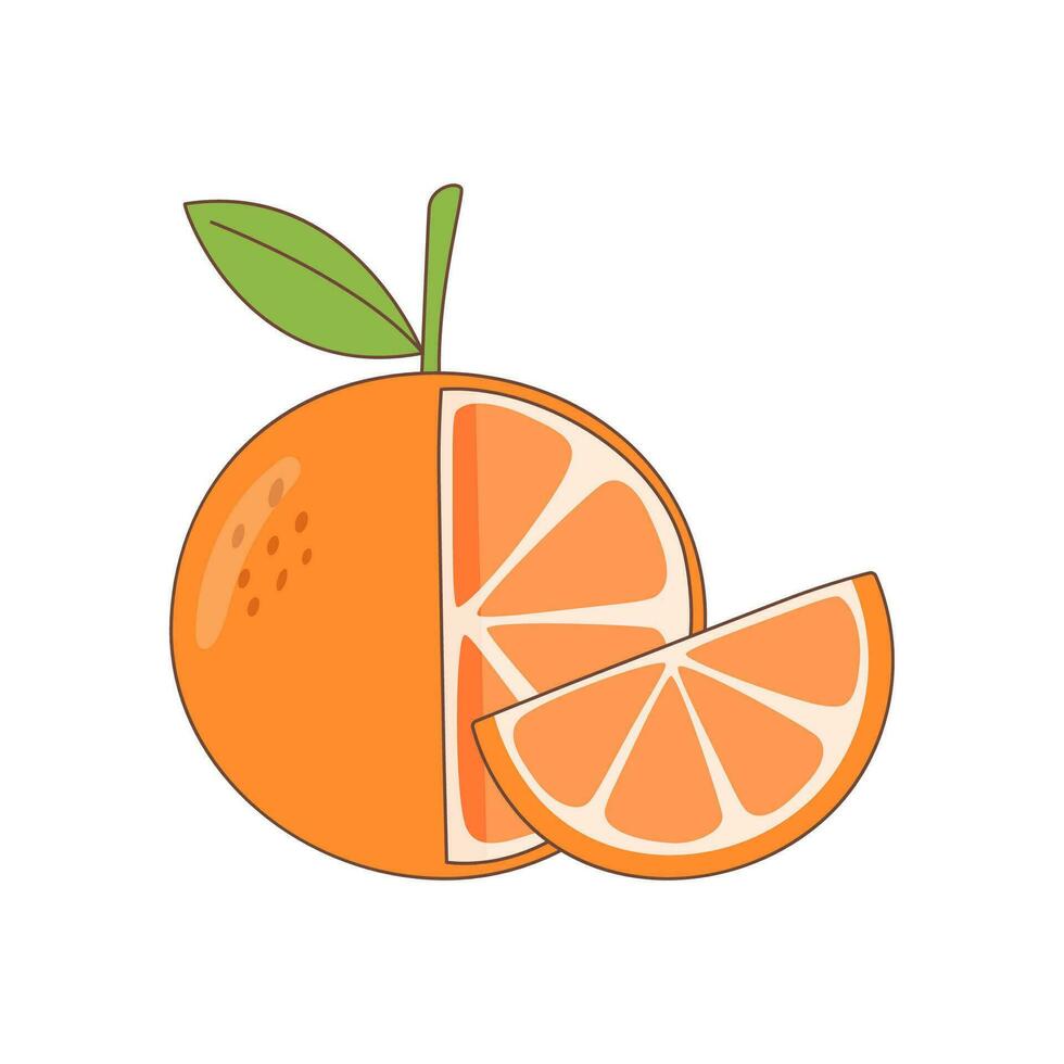 Orange fruit whole and a slice vector