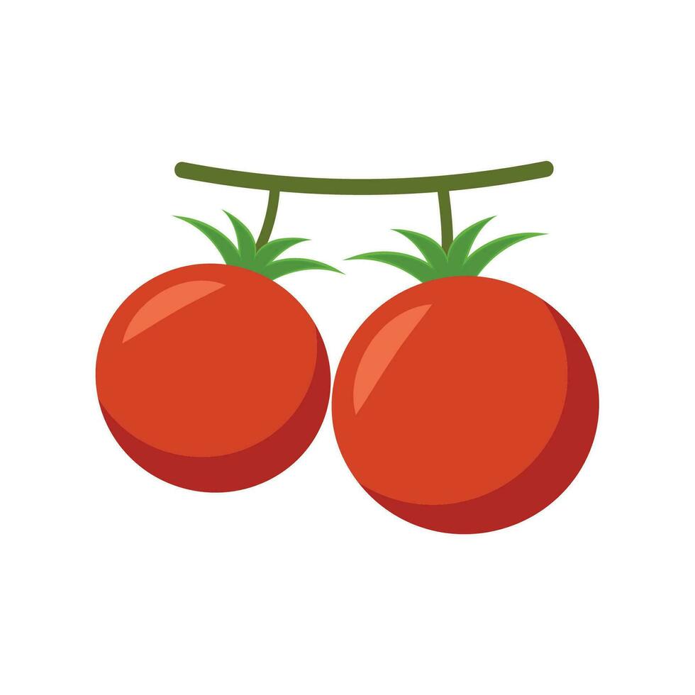Tomato cartoon. Tomato vector. Tomato on white background. vector