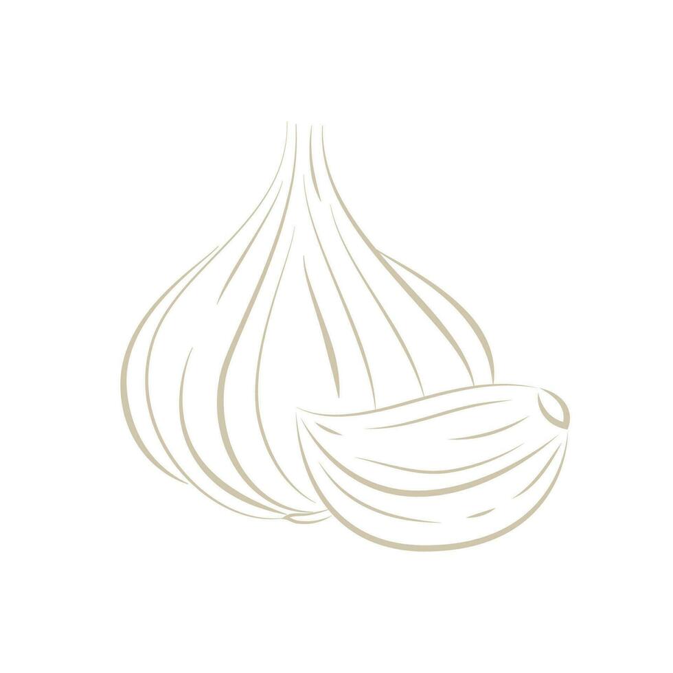 Garlic vector. Garlic logo design. Garlic symbol. wallpaper. free space for text. vector