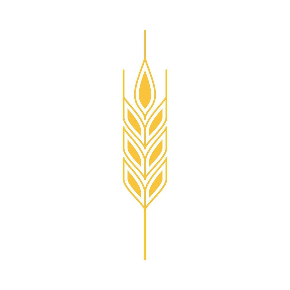 Oat symbol vector. Wheat logo design. vector