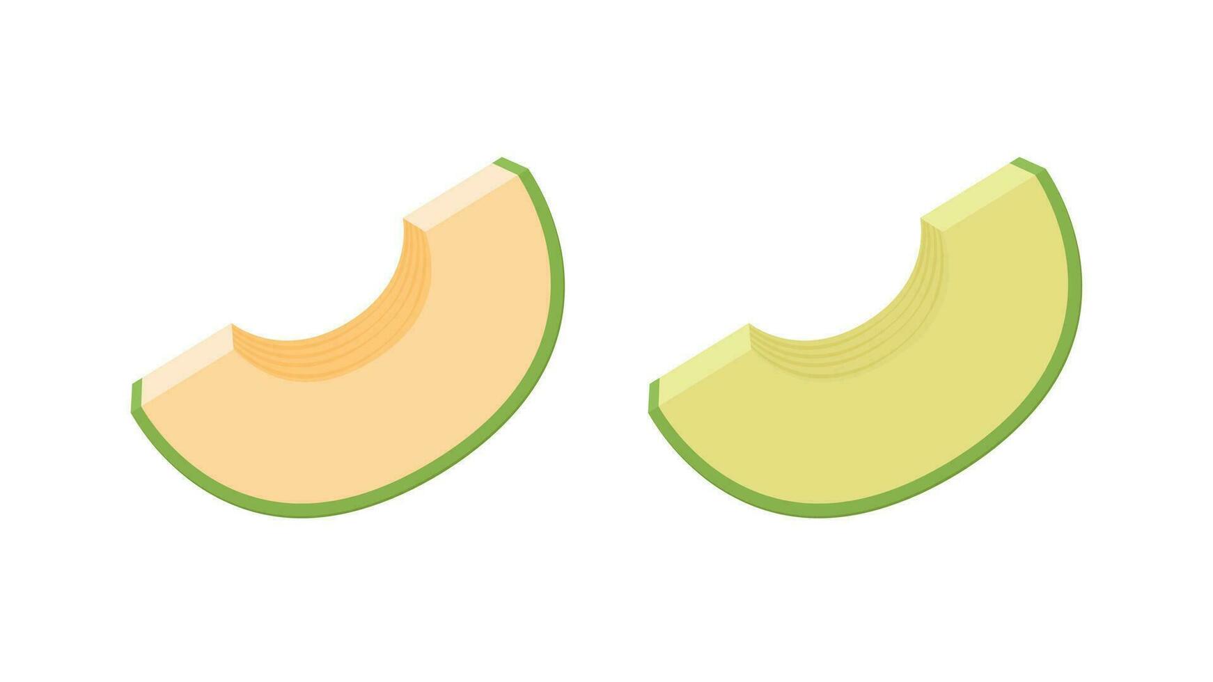 Melon vector. melon on white background. wallpaper. logo design. vector