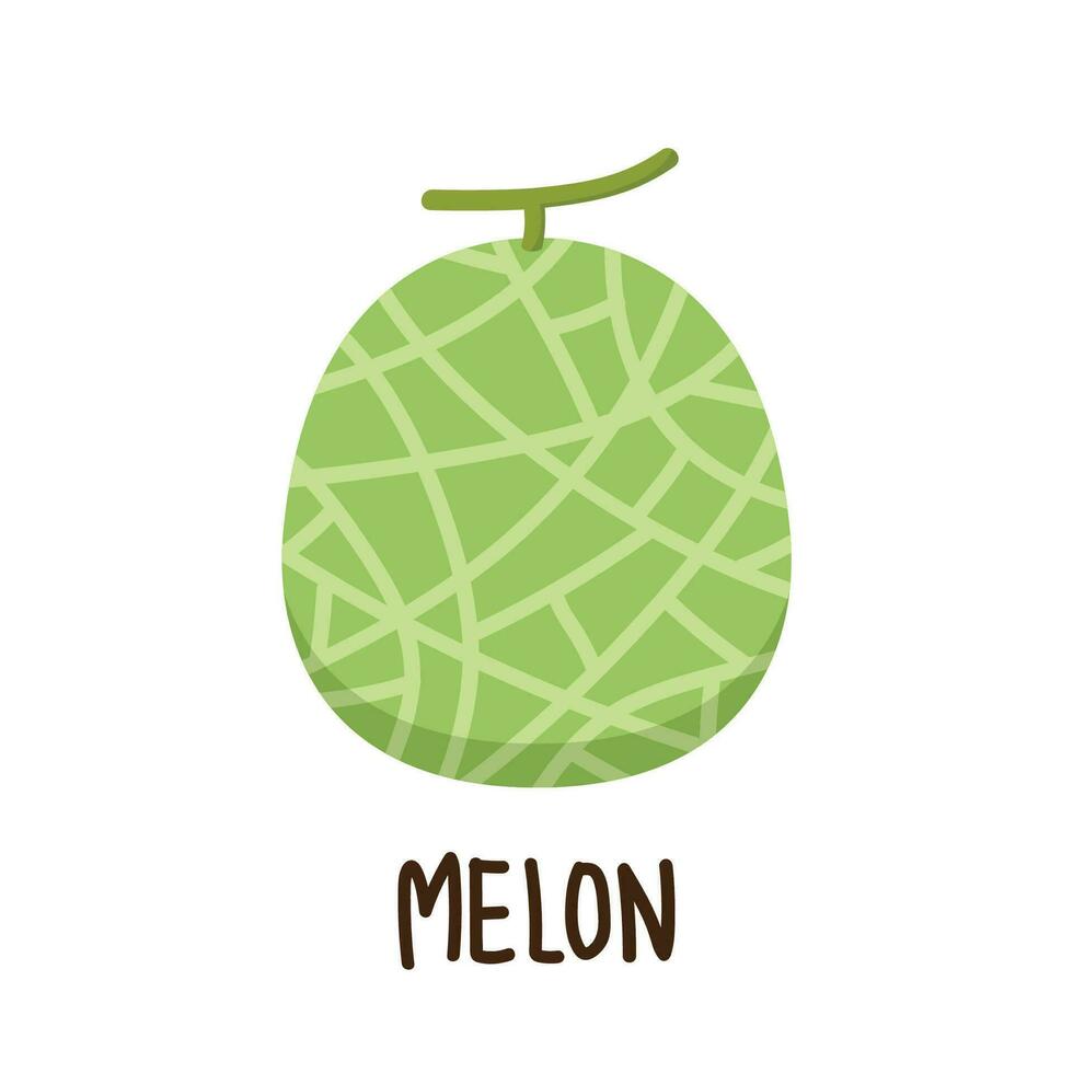 vector de melón melón sobre fondo blanco. fondo de pantalla. diseño de logo.