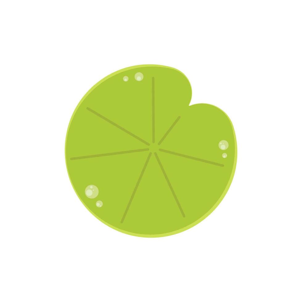 Lily pad icon. Lily cartoon vector on white background.