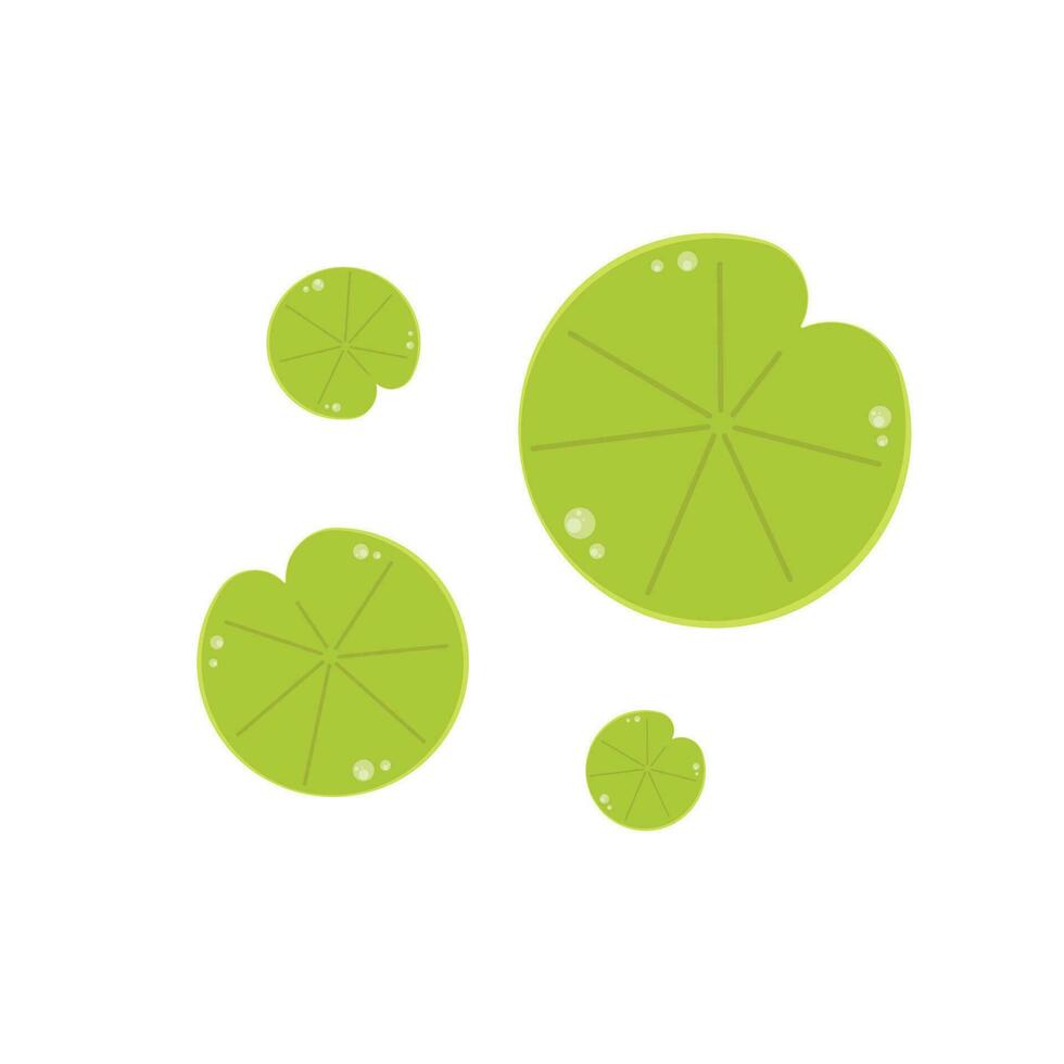 Lily pad icon. Lily cartoon vector on white background.