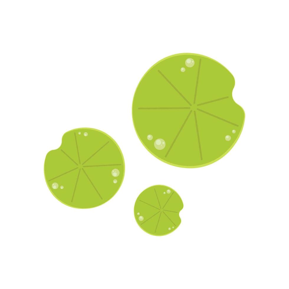 Lily pad icon. Lily cartoon vector on white background.