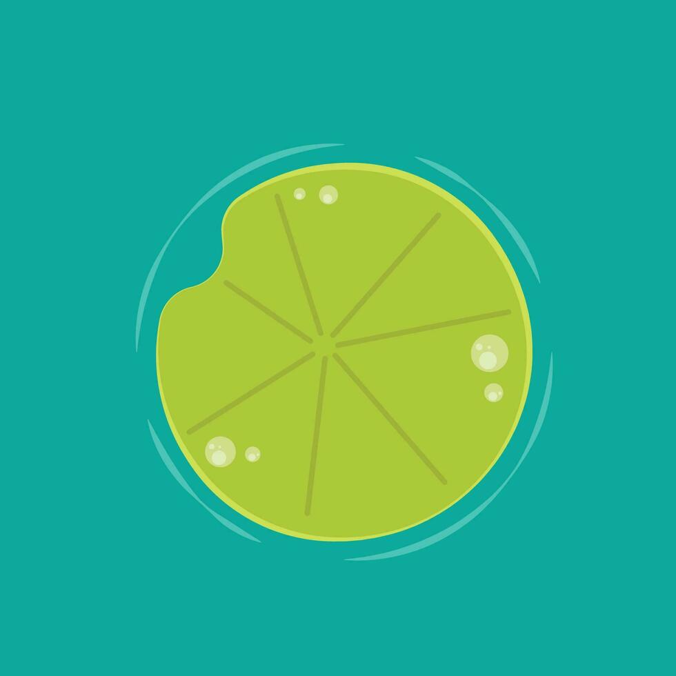 Lily pad icon. Lily cartoon vector on white background.