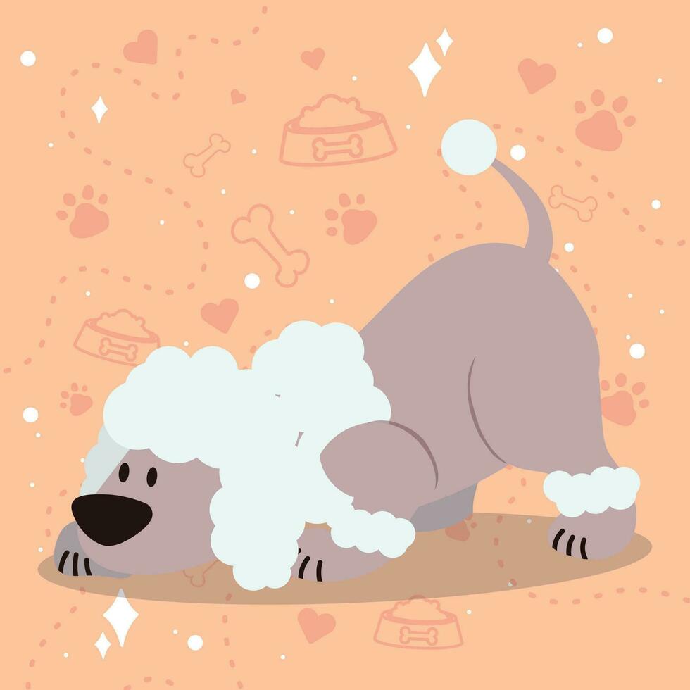 Cute sniffing french poodle dog cartoon character Vector illustration