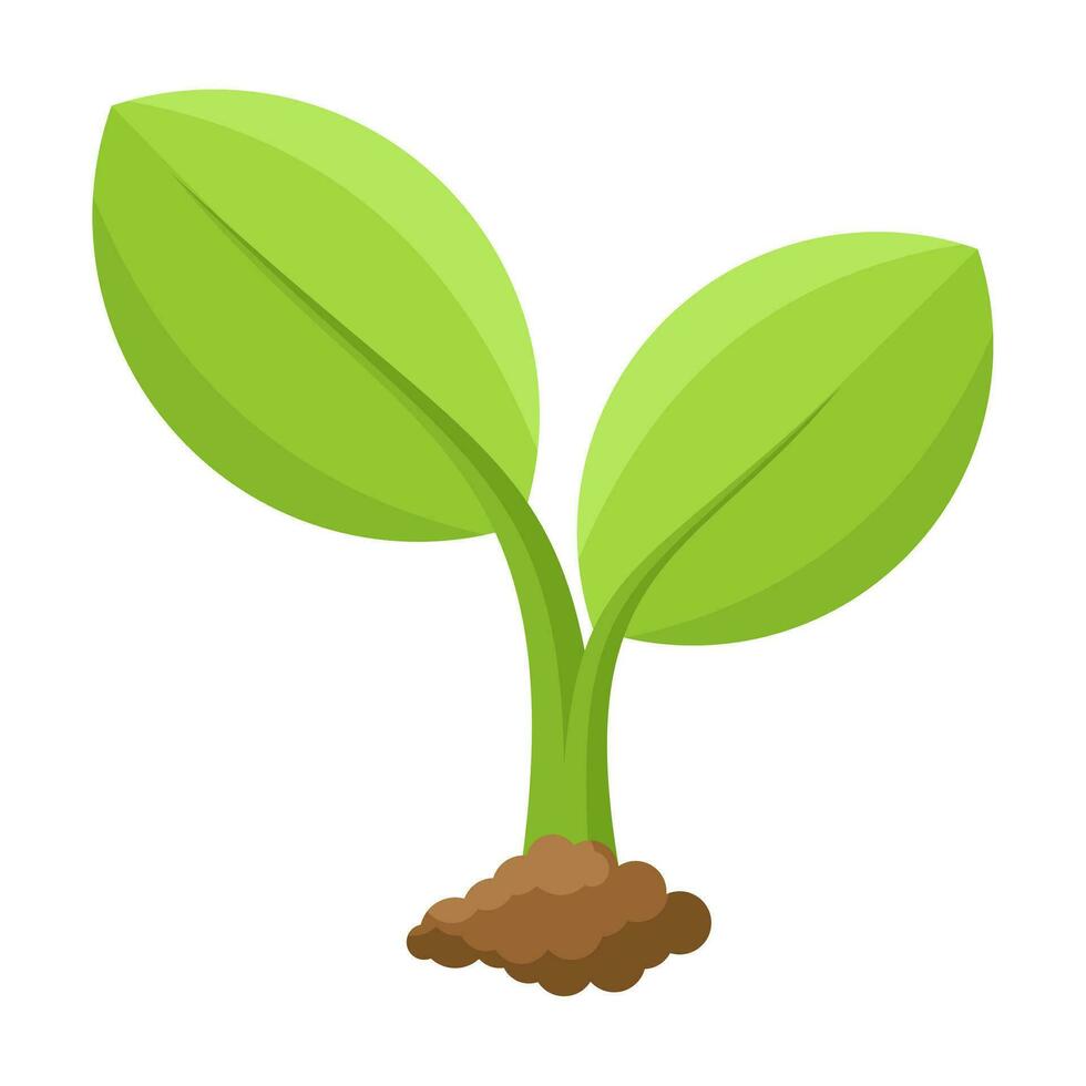 green young plant seeds isolated on white background vector