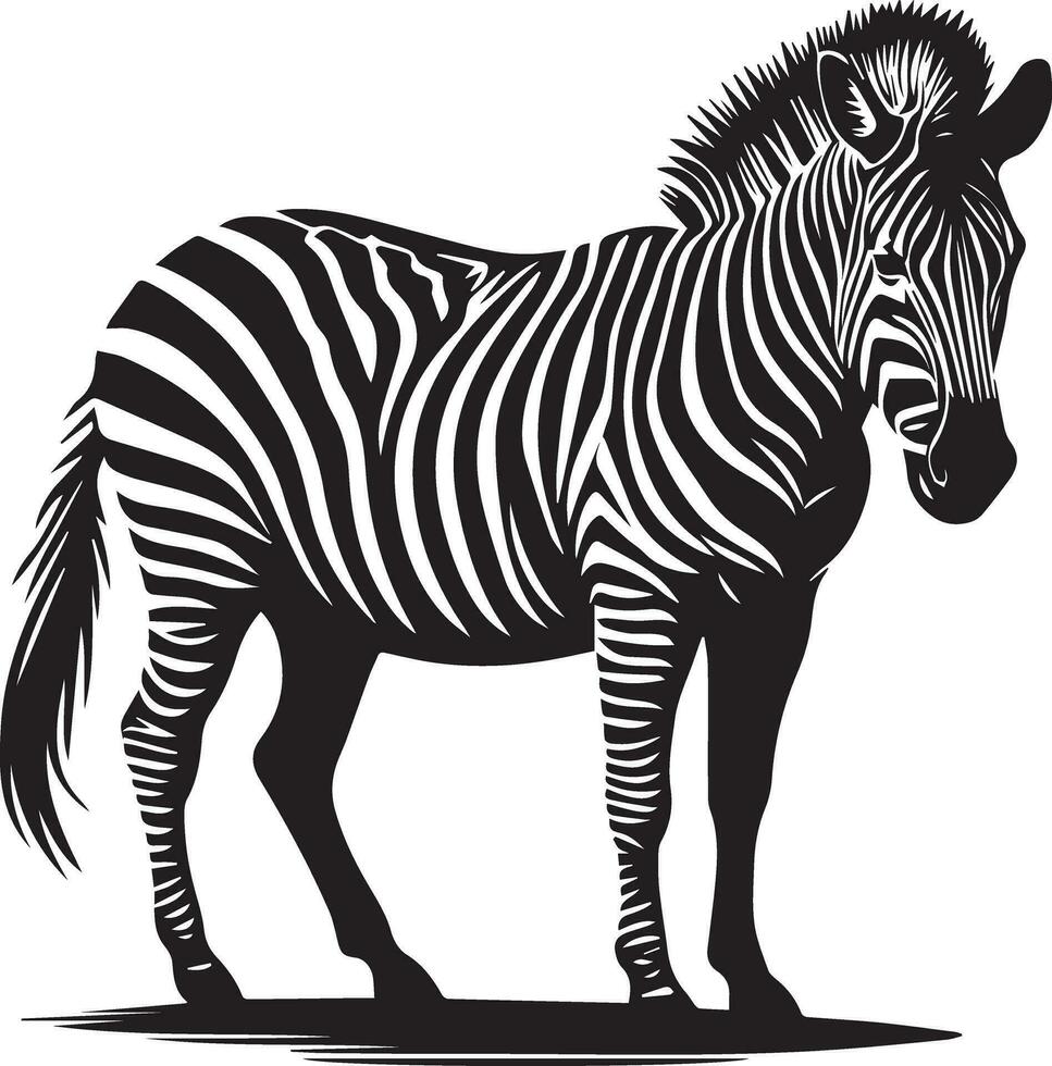 Zebra animal vector silhouette 3