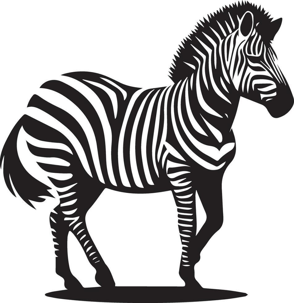Zebra animal vector silhouette 4